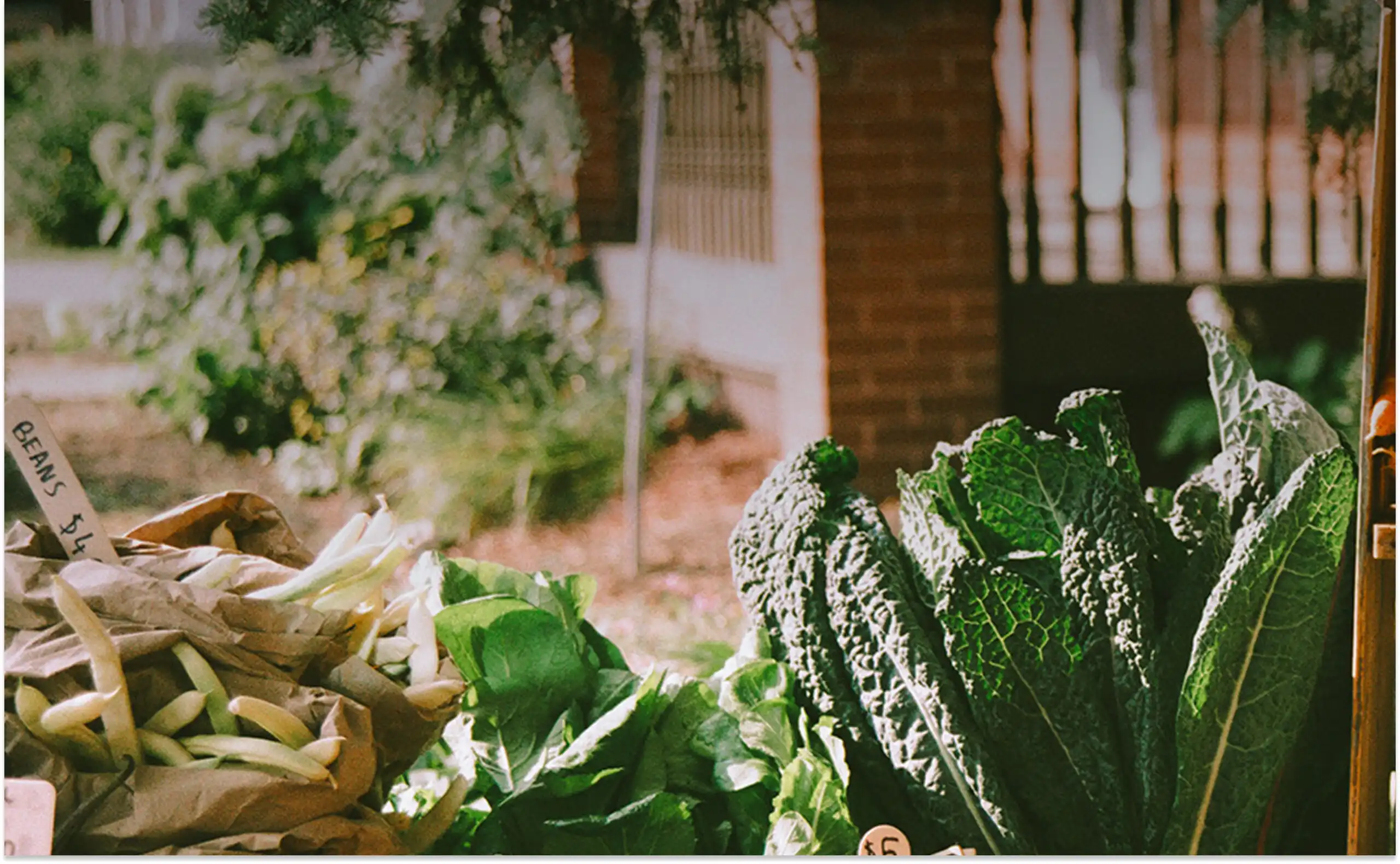 Cabbagetown Farmers Market