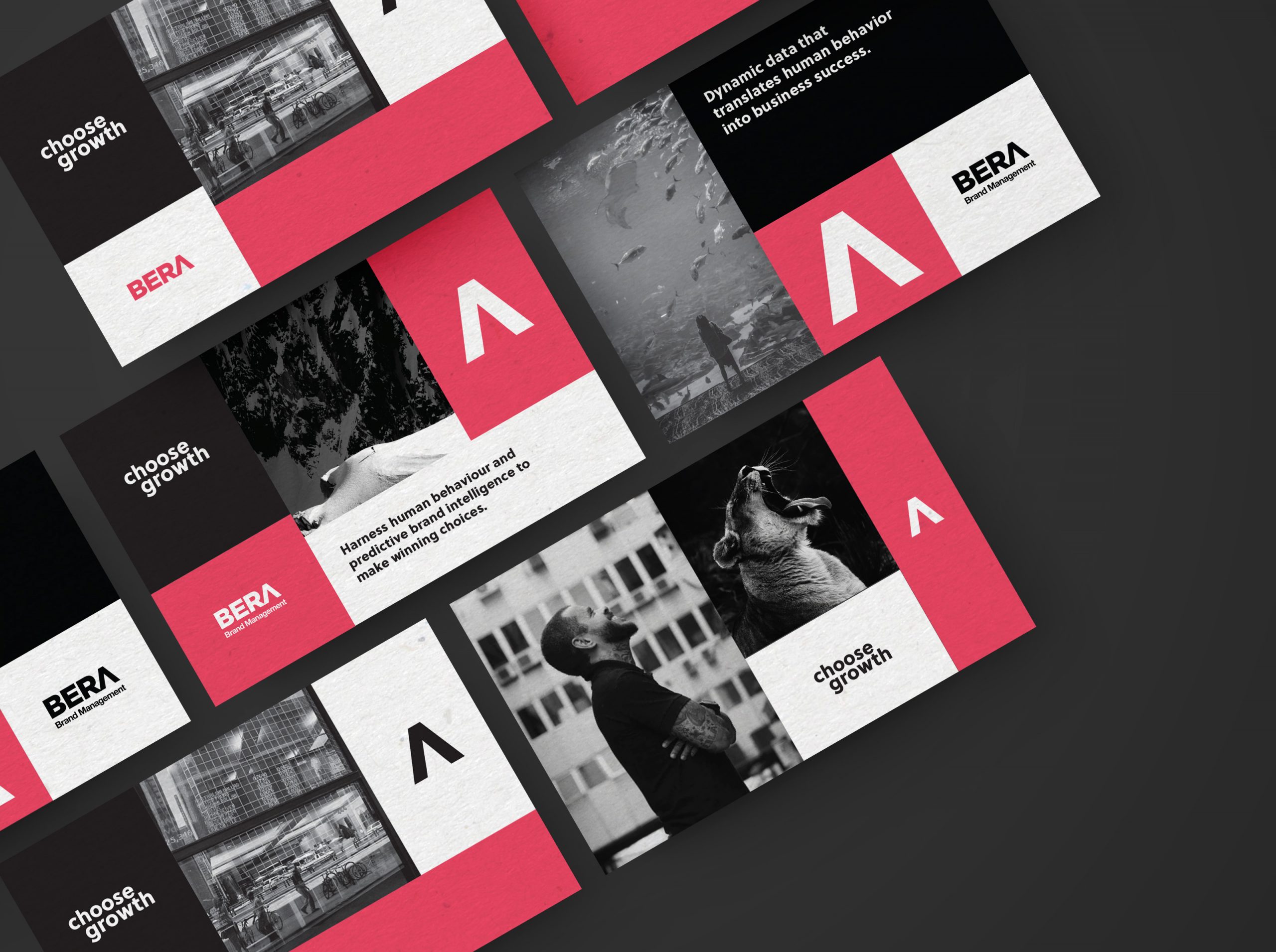 BERA Design Mockups