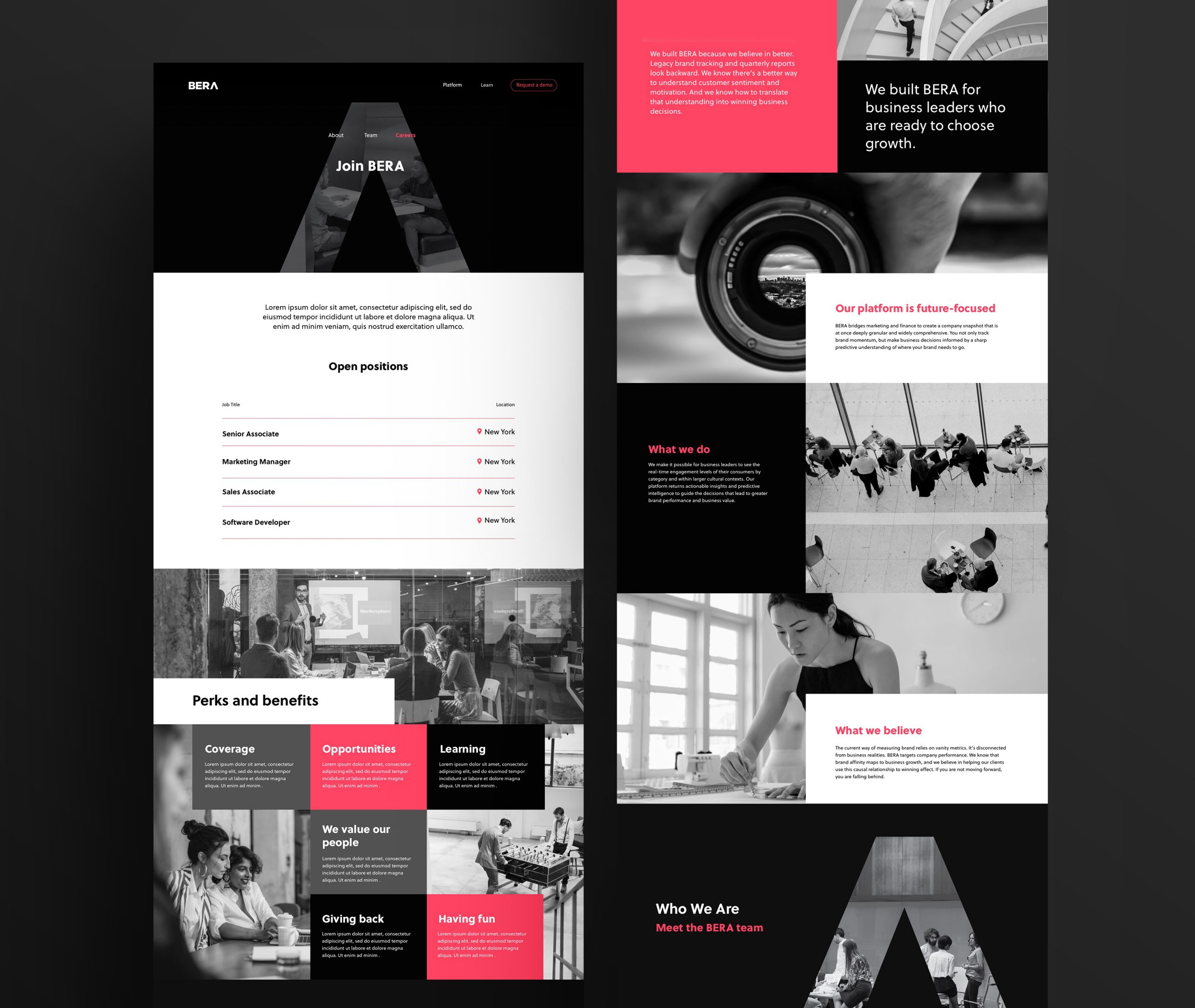 BERA Website Mockups
